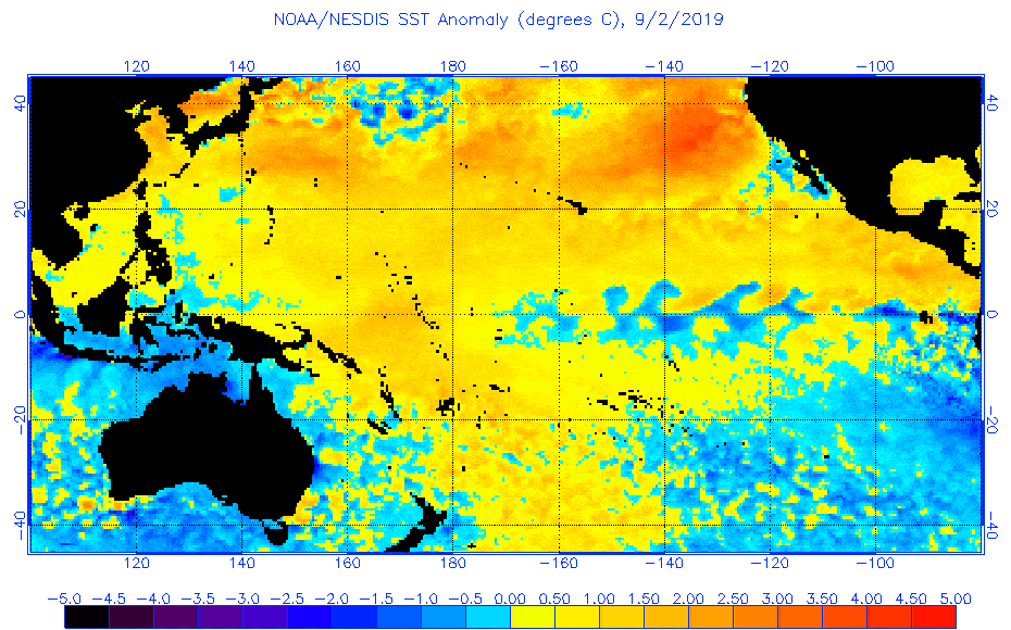 NOAA/NESDIS SST Anomaly Image 2 Sept. 2019