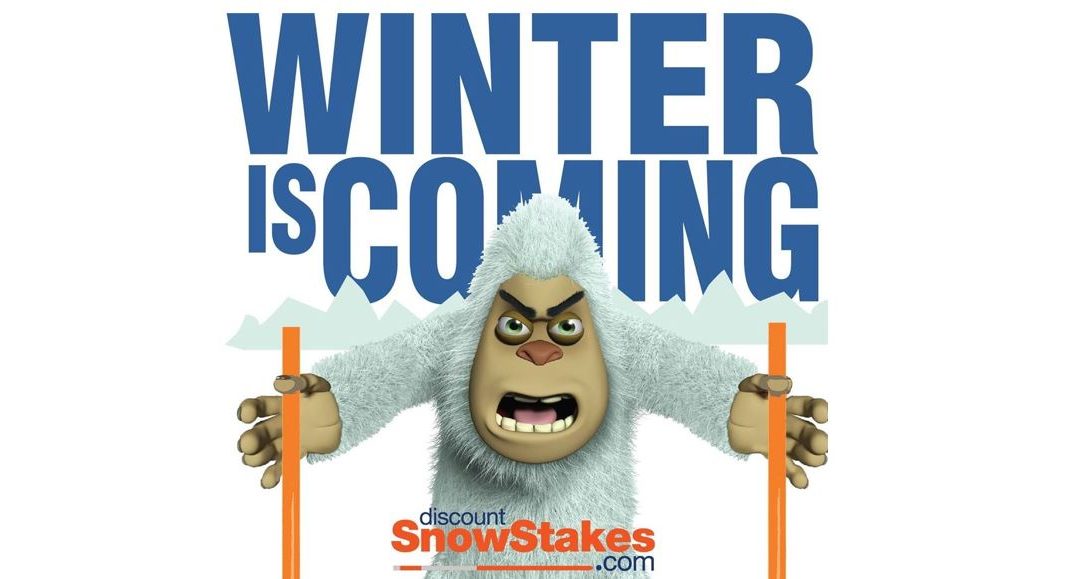 Discount Snow Stakes Review